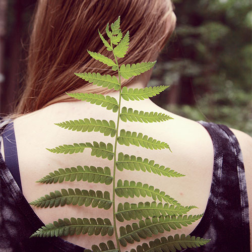 Test Gif